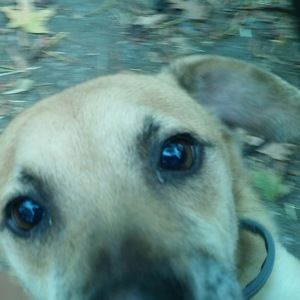 Meet your Posher, Glamglitztofashionblitz365